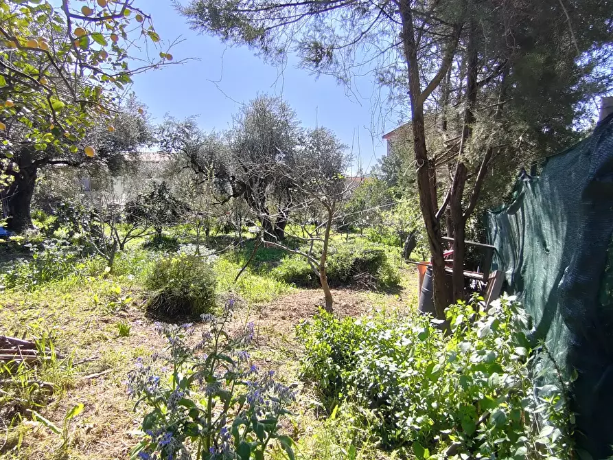 Immagine 3 di Terreno agricolo in vendita  in Via Palestrina, 2 a Iglesias