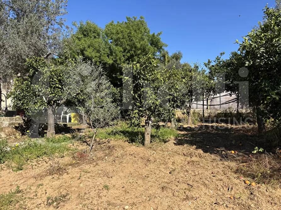 Immagine 40 di Rustico / casale in vendita  in Contrada Bortolone, 55 a Chiaramonte Gulfi