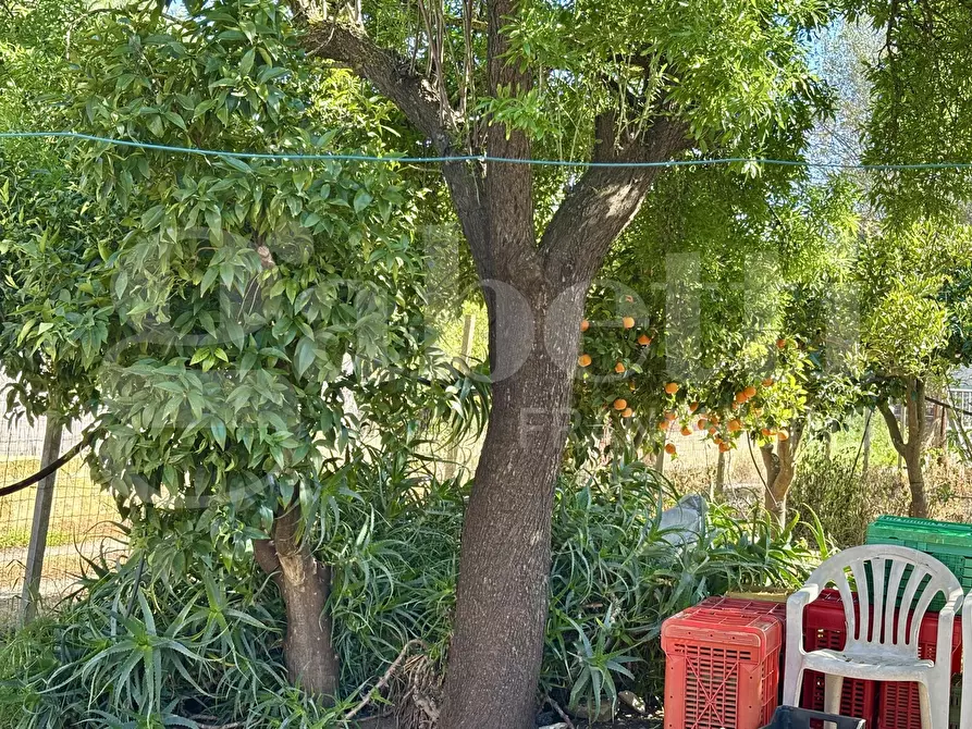 Immagine 22 di Rustico / casale in vendita  in Contrada Bortolone, 55 a Chiaramonte Gulfi
