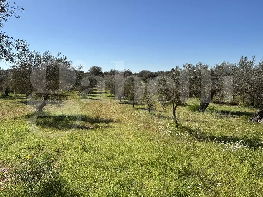 Immagine 43 di Rustico / casale in vendita  in Contrada Bortolone, 55 a Chiaramonte Gulfi