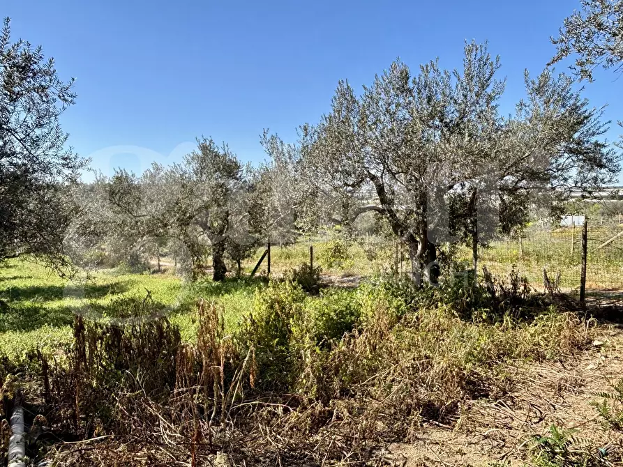 Immagine 32 di Rustico / casale in vendita  in Contrada Bortolone, 55 a Chiaramonte Gulfi