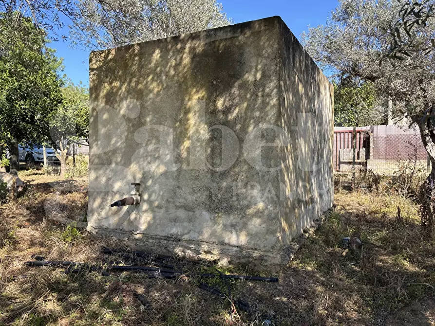Immagine 20 di Rustico / casale in vendita  in Contrada Bortolone, 55 a Chiaramonte Gulfi