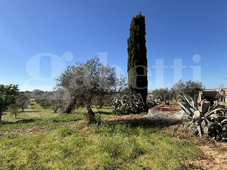 Immagine 27 di Rustico / casale in vendita  in Contrada Bortolone, 55 a Chiaramonte Gulfi