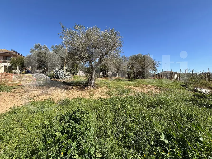 Immagine 41 di Rustico / casale in vendita  in Contrada Bortolone, 55 a Chiaramonte Gulfi