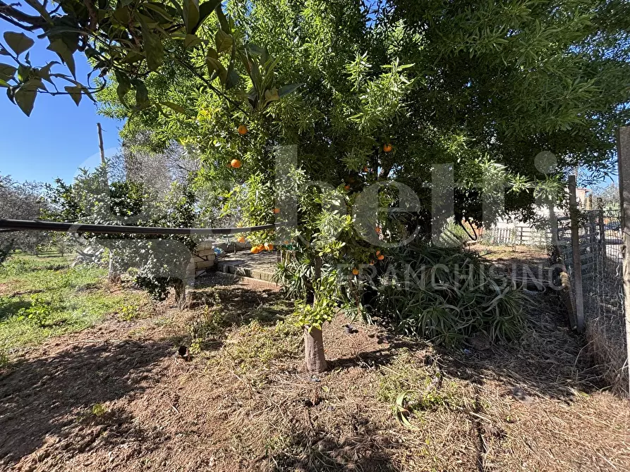 Immagine 39 di Rustico / casale in vendita  in Contrada Bortolone, 55 a Chiaramonte Gulfi