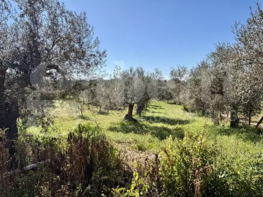 Immagine 29 di Rustico / casale in vendita  in Contrada Bortolone, 55 a Chiaramonte Gulfi