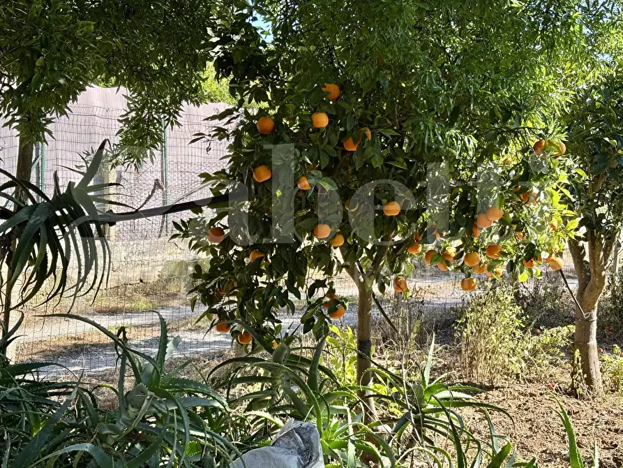 Immagine 23 di Rustico / casale in vendita  in Contrada Bortolone, 55 a Chiaramonte Gulfi