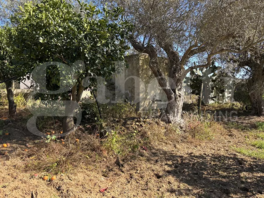 Immagine 30 di Rustico / casale in vendita  in Contrada Bortolone, 55 a Chiaramonte Gulfi