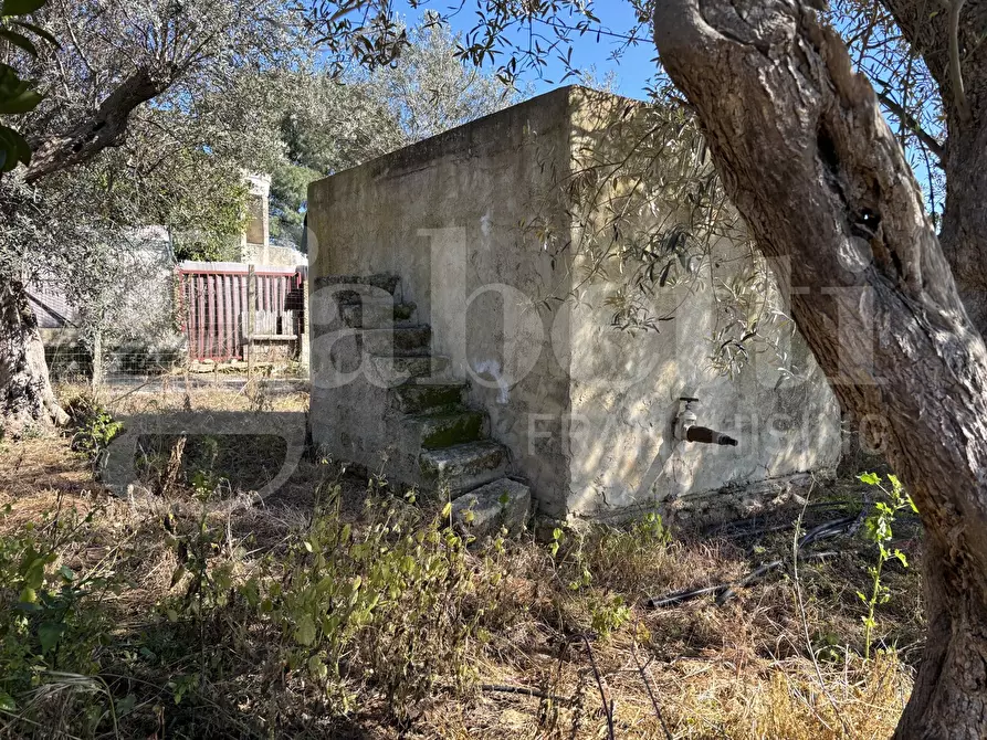 Immagine 19 di Rustico / casale in vendita  in Contrada Bortolone, 55 a Chiaramonte Gulfi