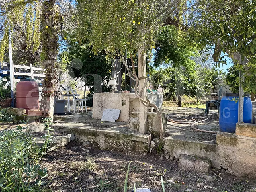 Immagine 17 di Rustico / casale in vendita  in Contrada Bortolone, 55 a Chiaramonte Gulfi