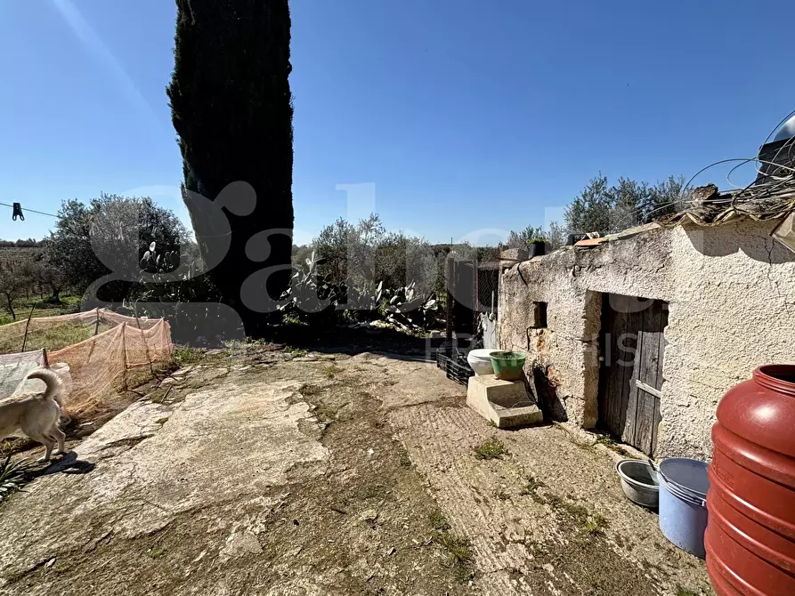 Immagine 21 di Rustico / casale in vendita  in Contrada Bortolone, 55 a Chiaramonte Gulfi