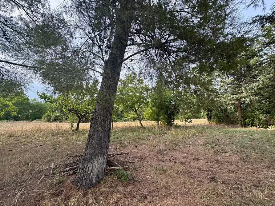 Immagine 6 di Rustico / casale in vendita  in Contrada Potenza, 33 a Macerata