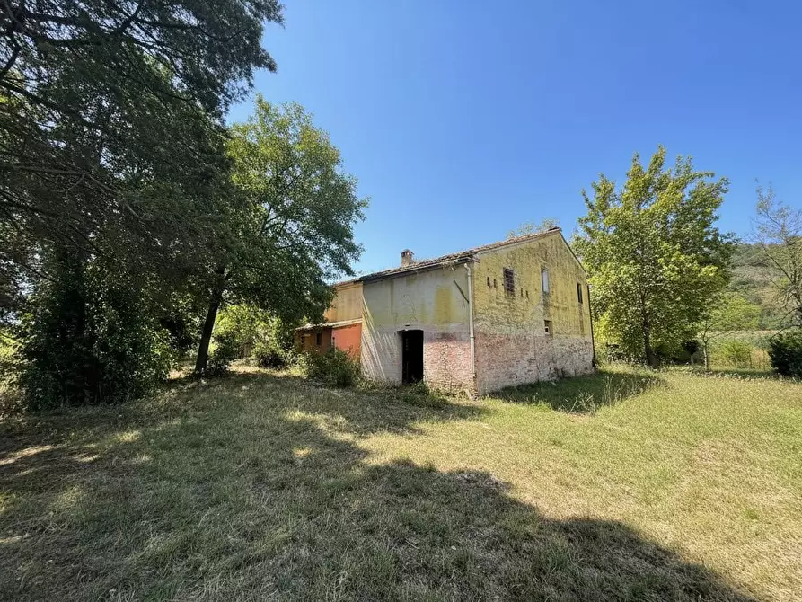 Immagine 4 di Rustico / casale in vendita  in Contrada Potenza, 33 a Macerata