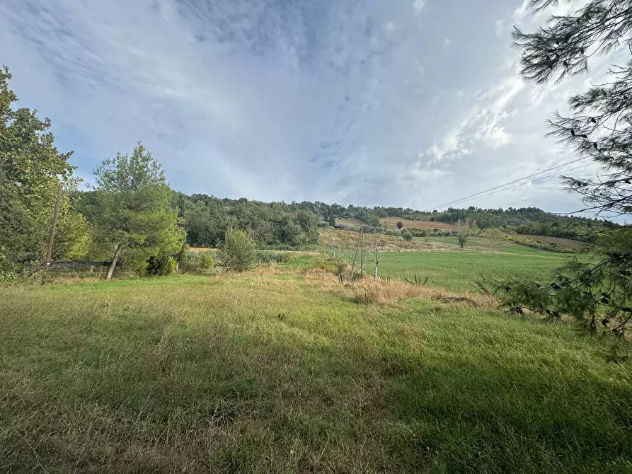 Immagine 5 di Rustico / casale in vendita  in Contrada Potenza, 33 a Macerata