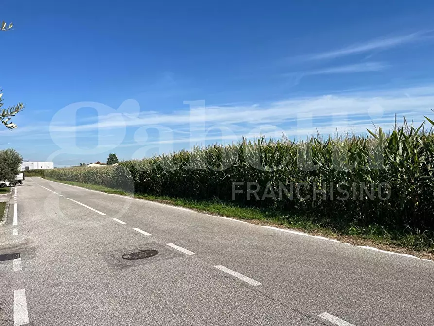 Immagine 1 di Terreno agricolo in vendita  in Via Bellodo a Marostica