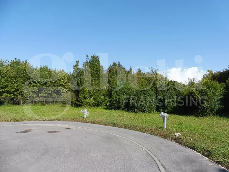 Immagine 2 di Terreno residenziale in vendita  in Via Santa Romana a Schiavon