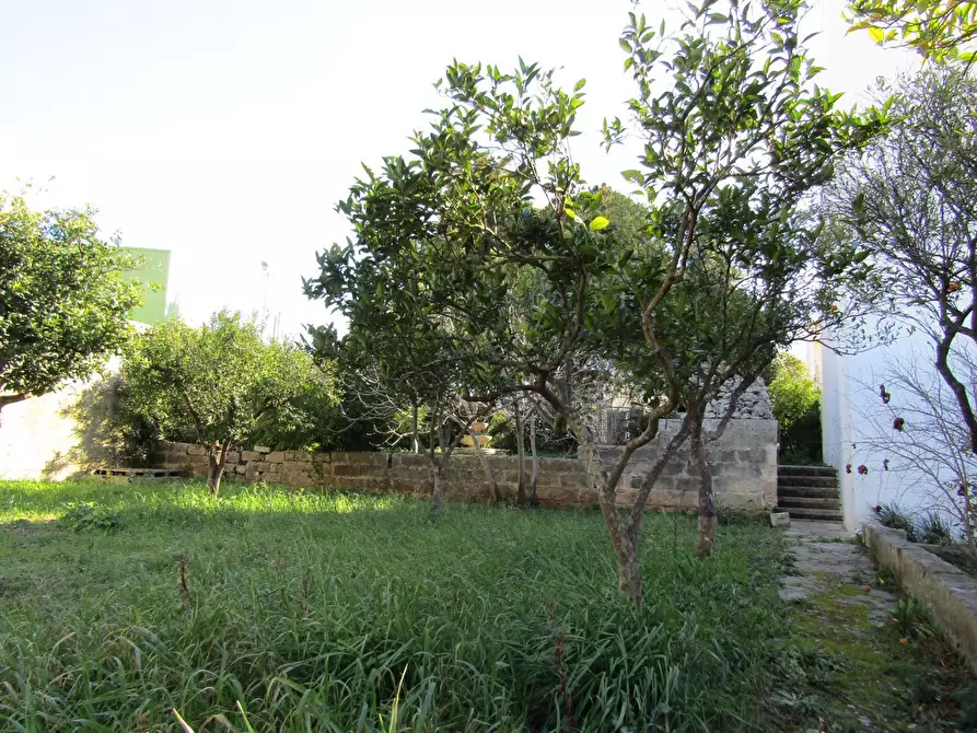 Immagine 4 di Terreno residenziale in vendita  in Via Malta, 100 a Sanarica