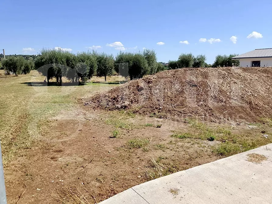 Immagine 6 di Terreno residenziale in vendita  in Via Gramsci, 15 a Sant'omero