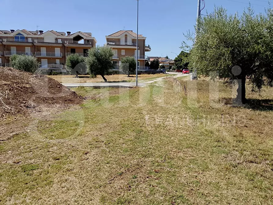 Immagine 4 di Terreno residenziale in vendita  in Via Gramsci, 15 a Sant'omero