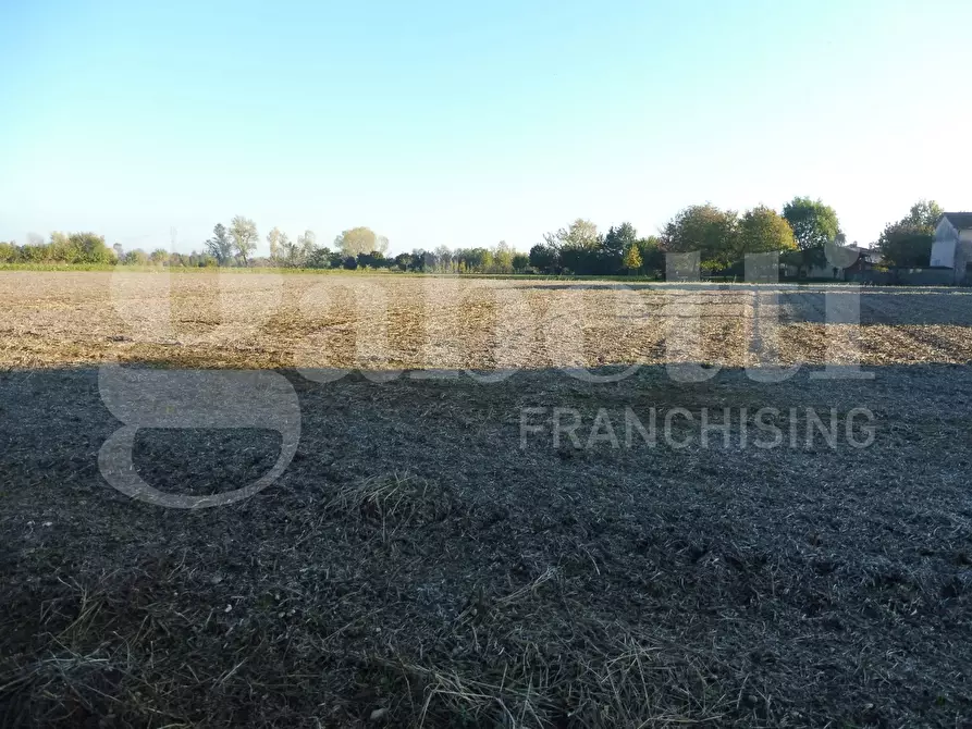 Immagine 1 di Terreno agricolo in vendita  in Via Bosco a Villaverla