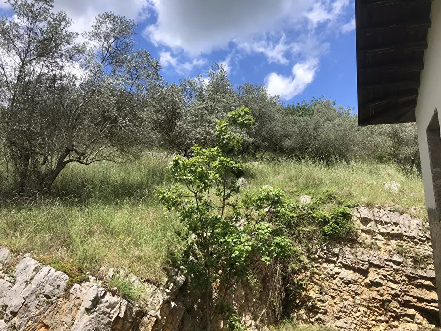 Immagine 23 di Rustico / casale in vendita  in Via Castagneto, snc a Alatri