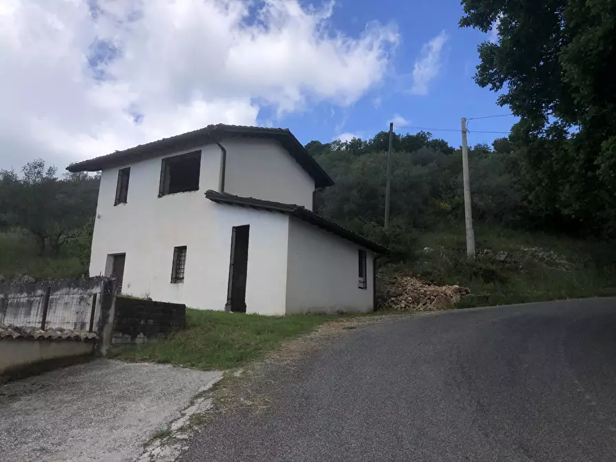 Immagine 3 di Rustico / casale in vendita  in Via Castagneto, snc a Alatri