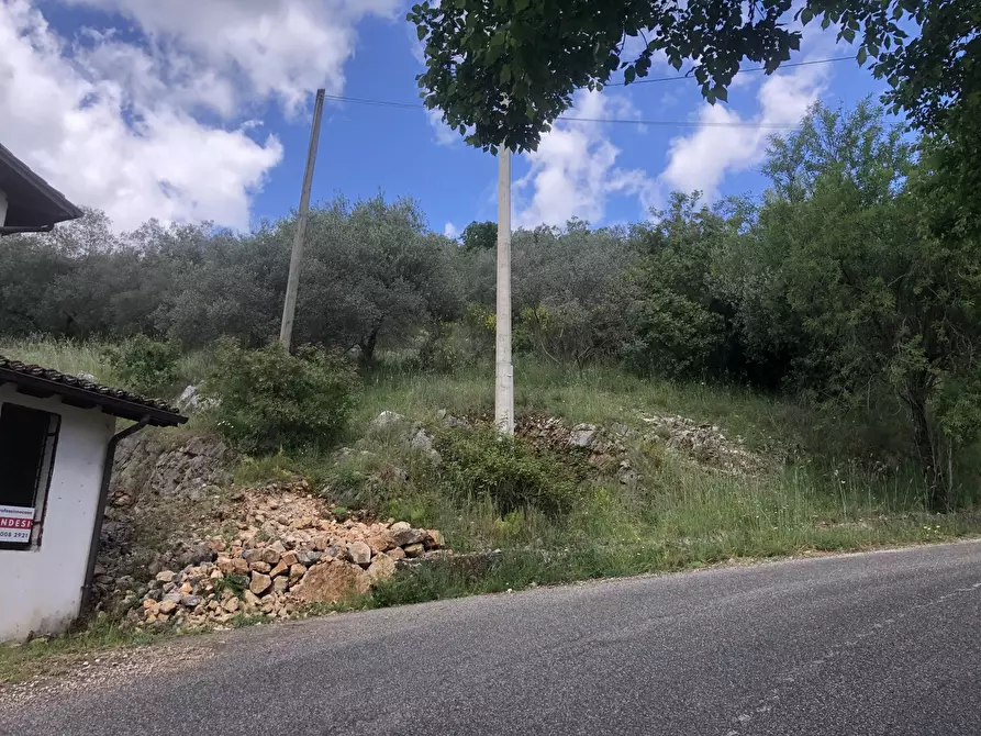 Immagine 19 di Rustico / casale in vendita  in Via Castagneto, snc a Alatri
