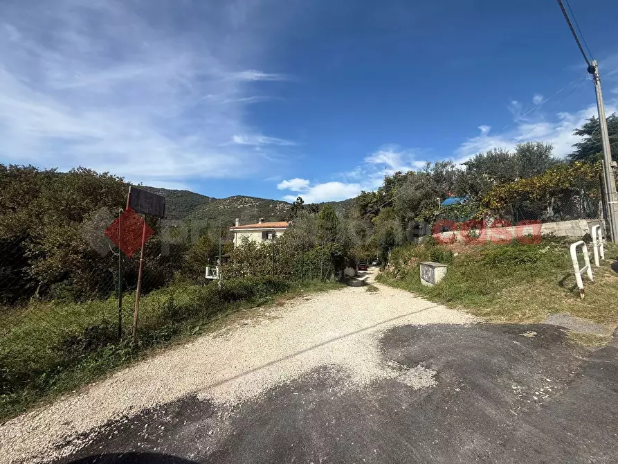 Immagine 12 di Terreno residenziale in vendita  in Via dei Mughetti, snc a San Polo Dei Cavalieri
