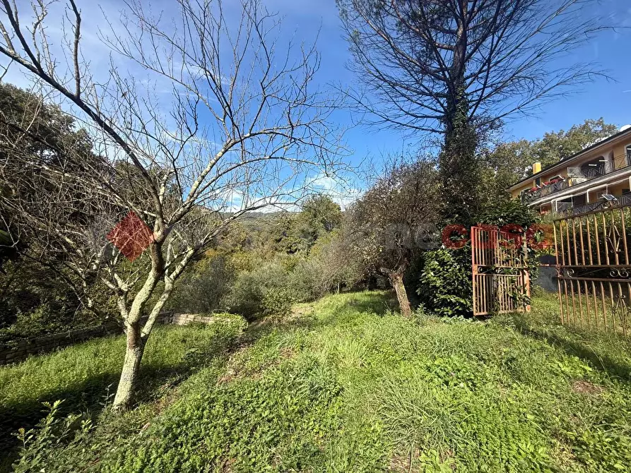 Immagine 4 di Terreno residenziale in vendita  in Via dei Mughetti, snc a San Polo Dei Cavalieri