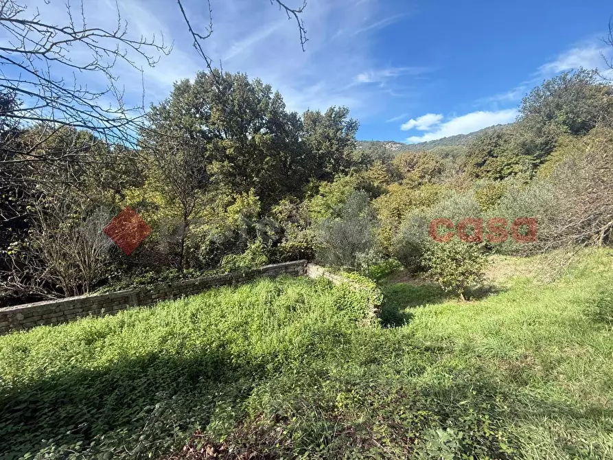 Immagine 10 di Terreno residenziale in vendita  in Via dei Mughetti, snc a San Polo Dei Cavalieri