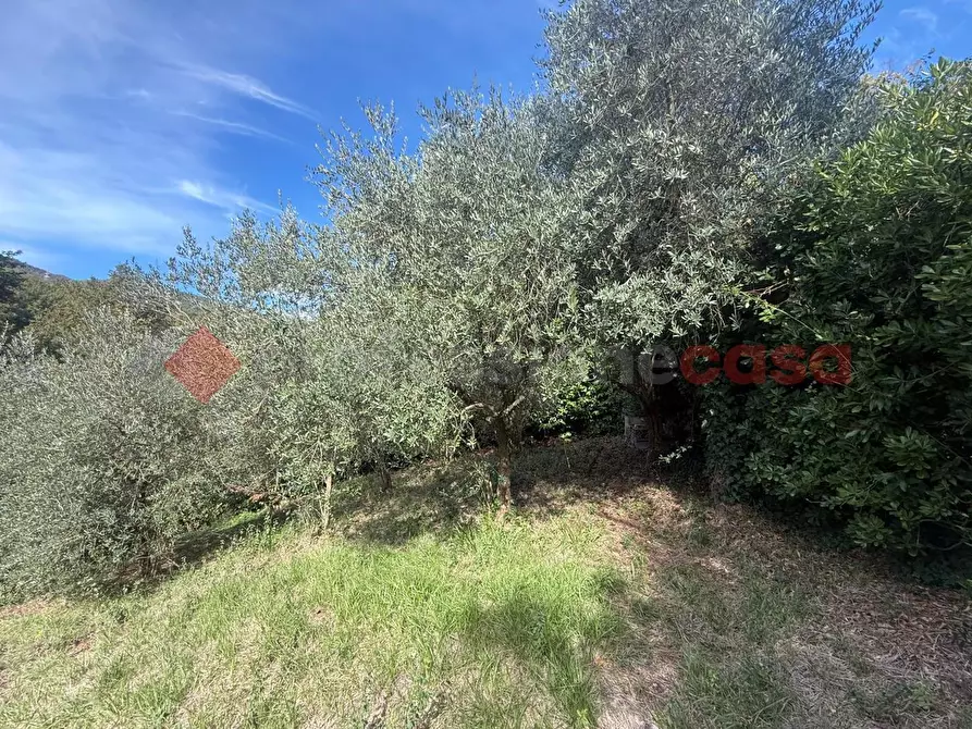 Immagine 7 di Terreno residenziale in vendita  in Via dei Mughetti, snc a San Polo Dei Cavalieri