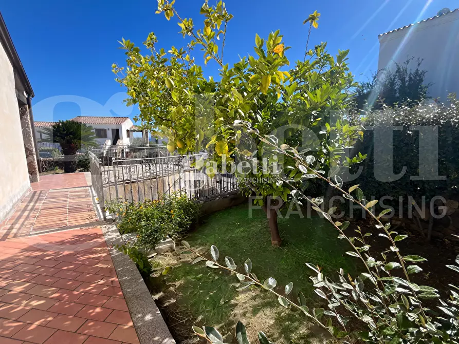 Immagine 38 di Villa in vendita  in Via Diomede, snc a Budoni