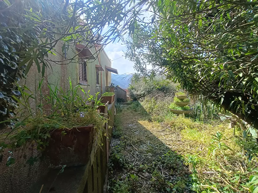 Immagine 33 di Villa in vendita  in Via provinciale massa santa lucia, Snc a Messina