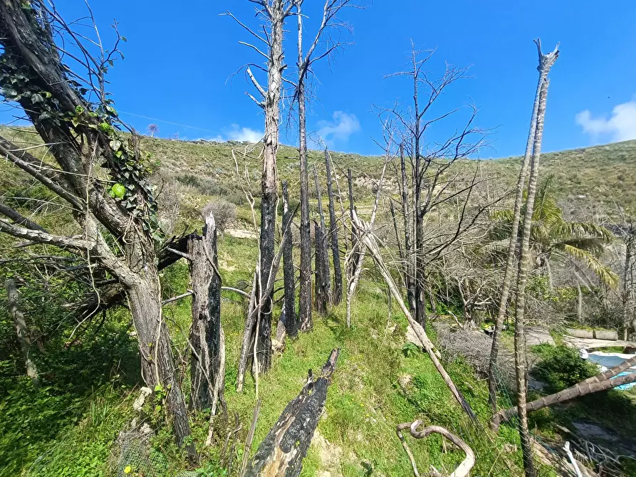 Immagine 39 di Villa in vendita  in Via provinciale massa santa lucia, Snc a Messina