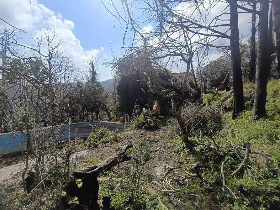 Immagine 35 di Villa in vendita  in Via provinciale massa santa lucia, Snc a Messina