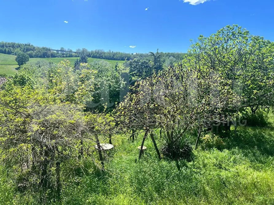 Immagine 37 di Rustico / casale in vendita  in Strada Bauchieri, 6 a Cocconato