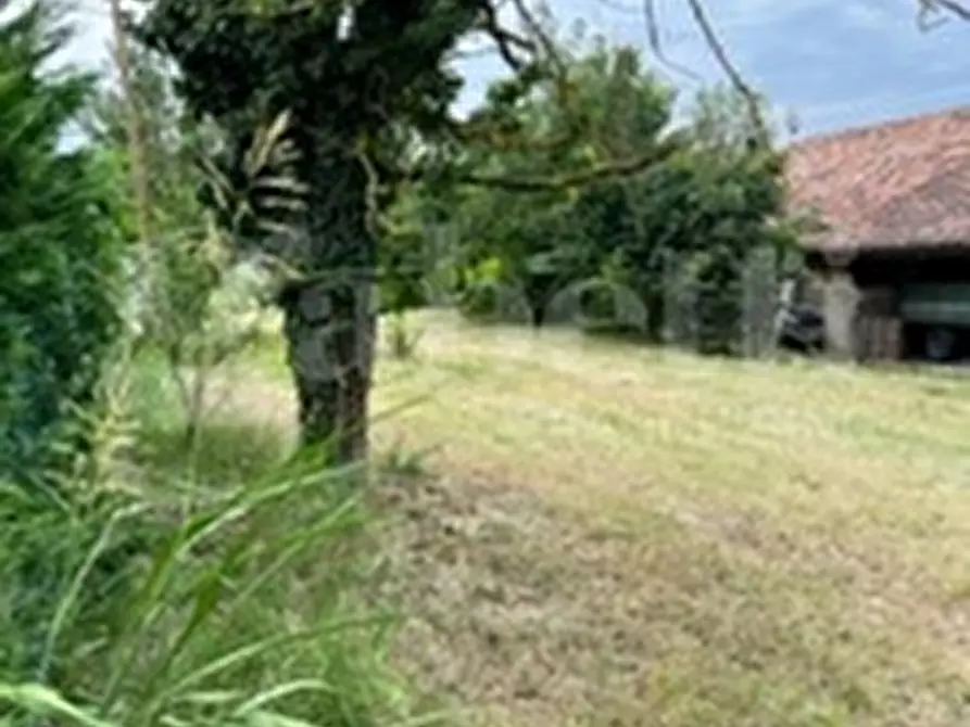 Immagine 22 di Rustico / casale in vendita  in Strada Bauchieri, 6 a Cocconato
