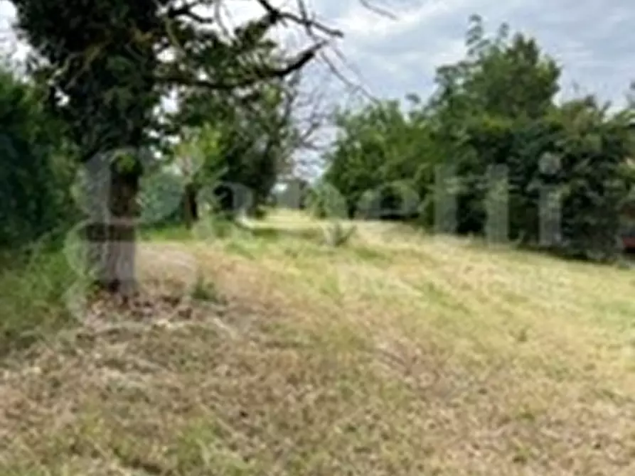 Immagine 46 di Rustico / casale in vendita  in Strada Bauchieri, 6 a Cocconato