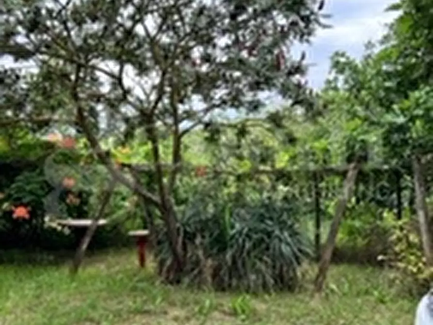 Immagine 39 di Rustico / casale in vendita  in Strada Bauchieri, 6 a Cocconato