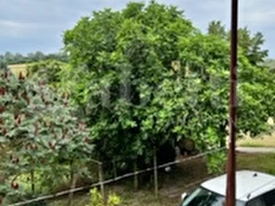 Immagine 16 di Rustico / casale in vendita  in Strada Bauchieri, 6 a Cocconato