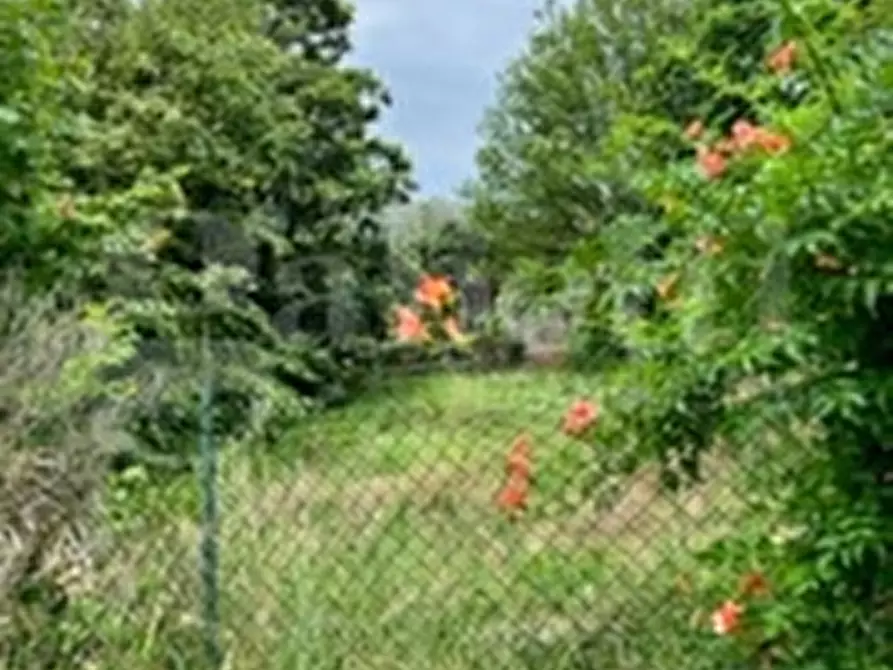 Immagine 21 di Rustico / casale in vendita  in Strada Bauchieri, 6 a Cocconato