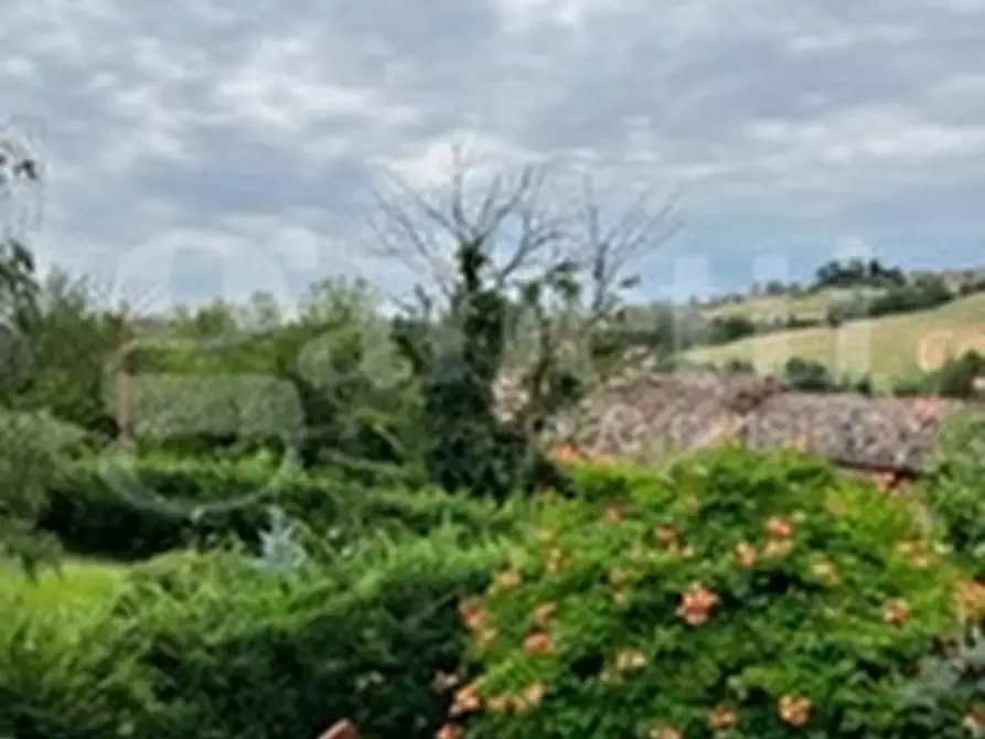 Immagine 38 di Rustico / casale in vendita  in Strada Bauchieri, 6 a Cocconato