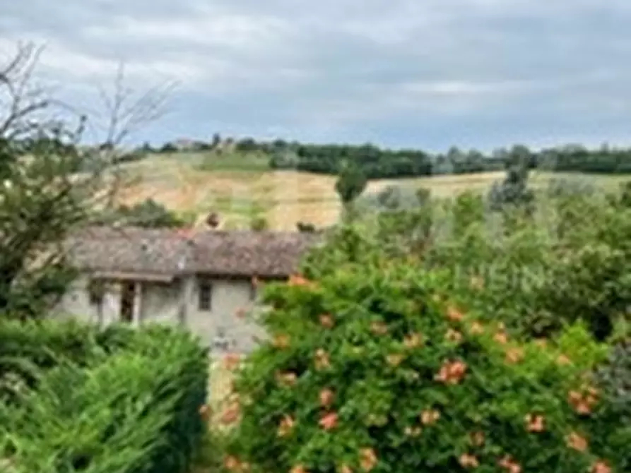 Immagine 47 di Rustico / casale in vendita  in Strada Bauchieri, 6 a Cocconato