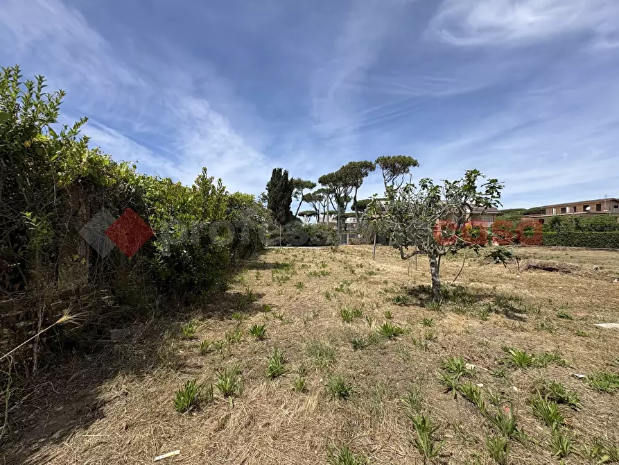 Immagine 11 di Casa indipendente in vendita  in Via LIDO DI GIOVE, 24 a Terracina