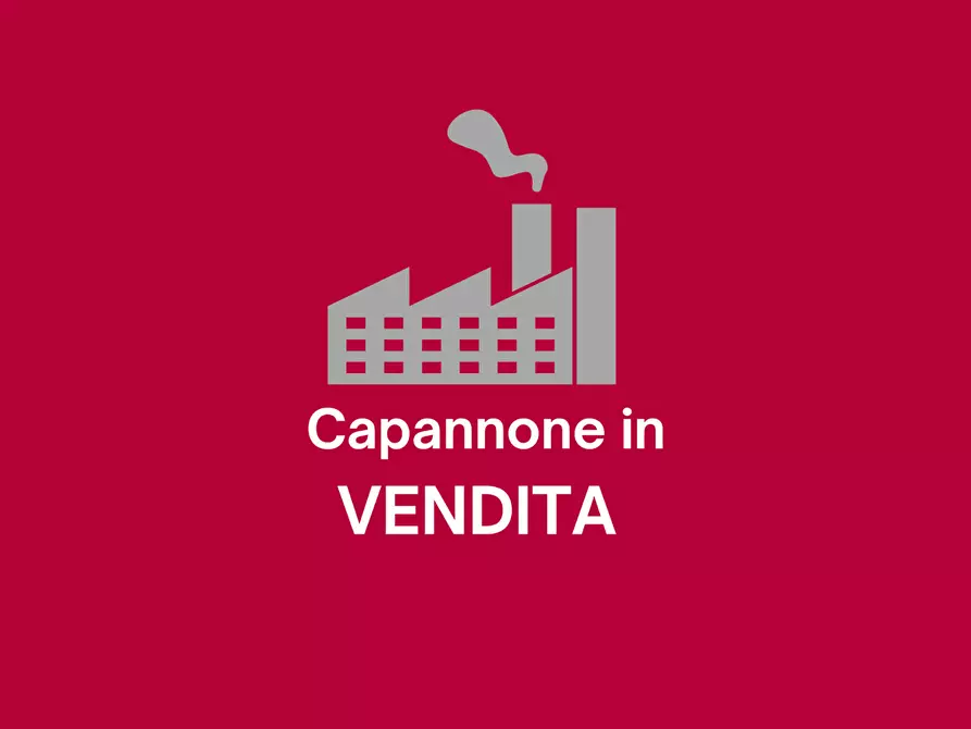 Immagine 1 di Capannone industriale in vendita  in Via Papa Giovanni XXIII a Colceresa