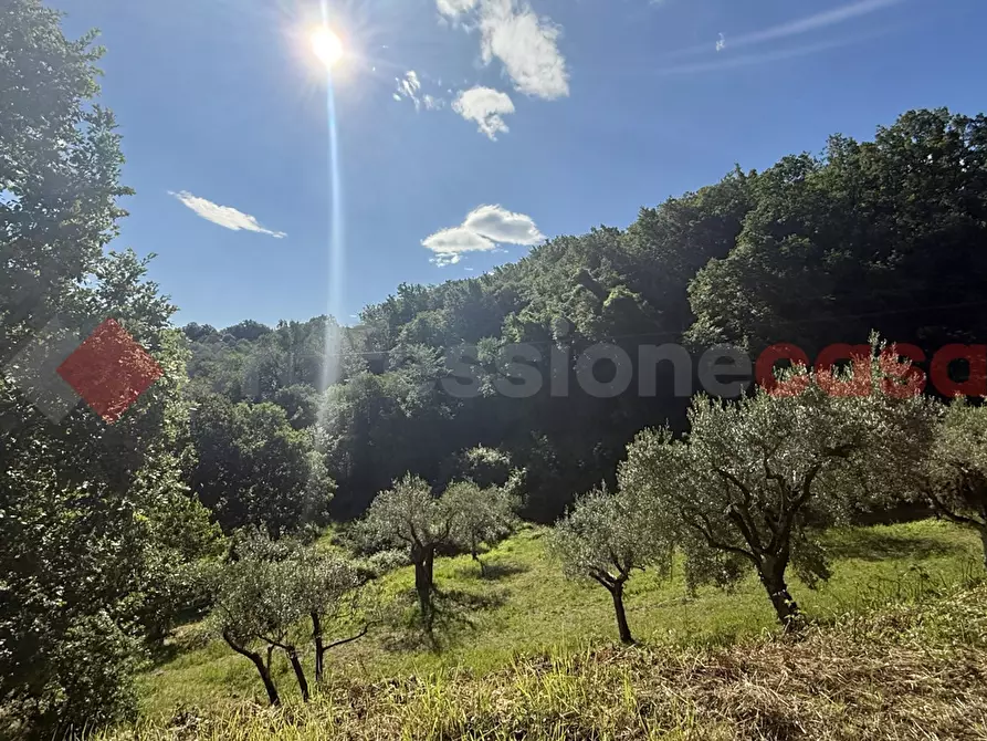 Immagine 16 di Terreno agricolo in vendita  in Via Vicinale PiÃ¨ di monte, snc a Fumone