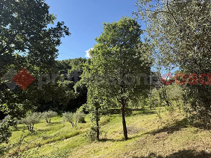 Immagine 9 di Terreno agricolo in vendita  in Via Vicinale PiÃ¨ di monte, snc a Fumone