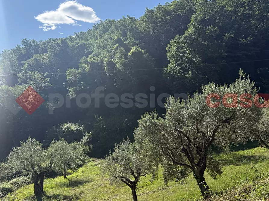 Immagine 15 di Terreno agricolo in vendita  in Via Vicinale PiÃ¨ di monte, snc a Fumone