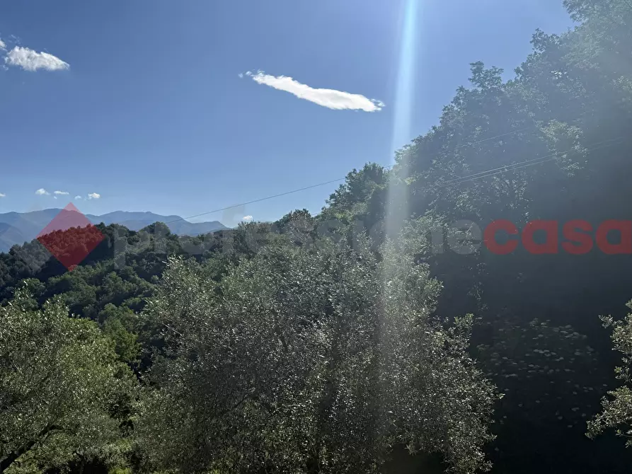 Immagine 1 di Terreno agricolo in vendita  in Via Vicinale PiÃ¨ di monte, snc a Fumone