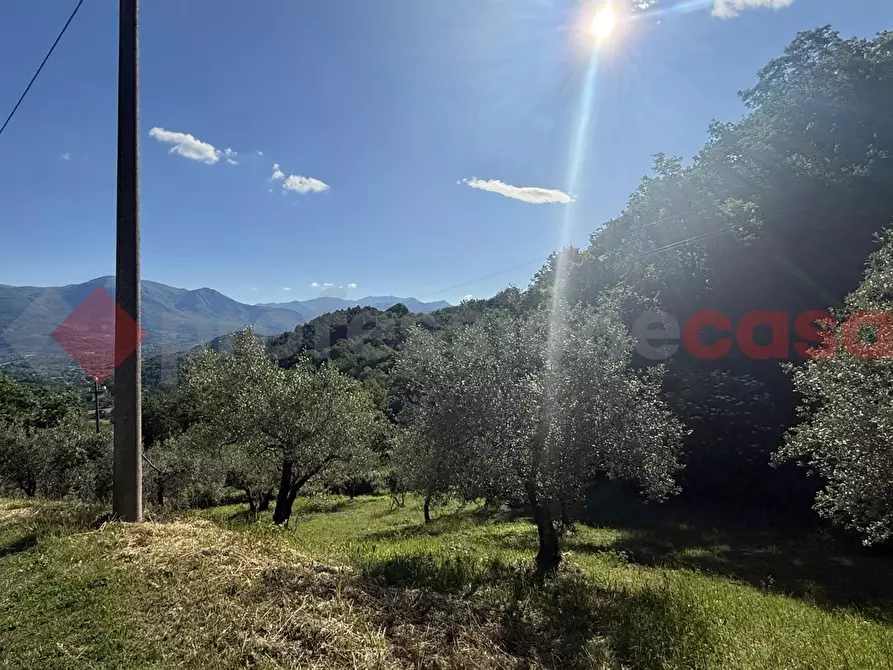 Immagine 3 di Terreno agricolo in vendita  in Via Vicinale PiÃ¨ di monte, snc a Fumone